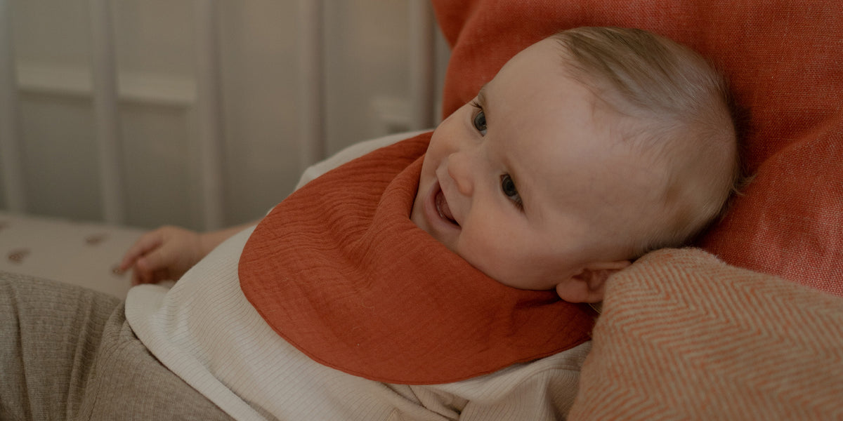 TEDMIMAK babero impermeable sin manga alimentacion Bebé con velcro
